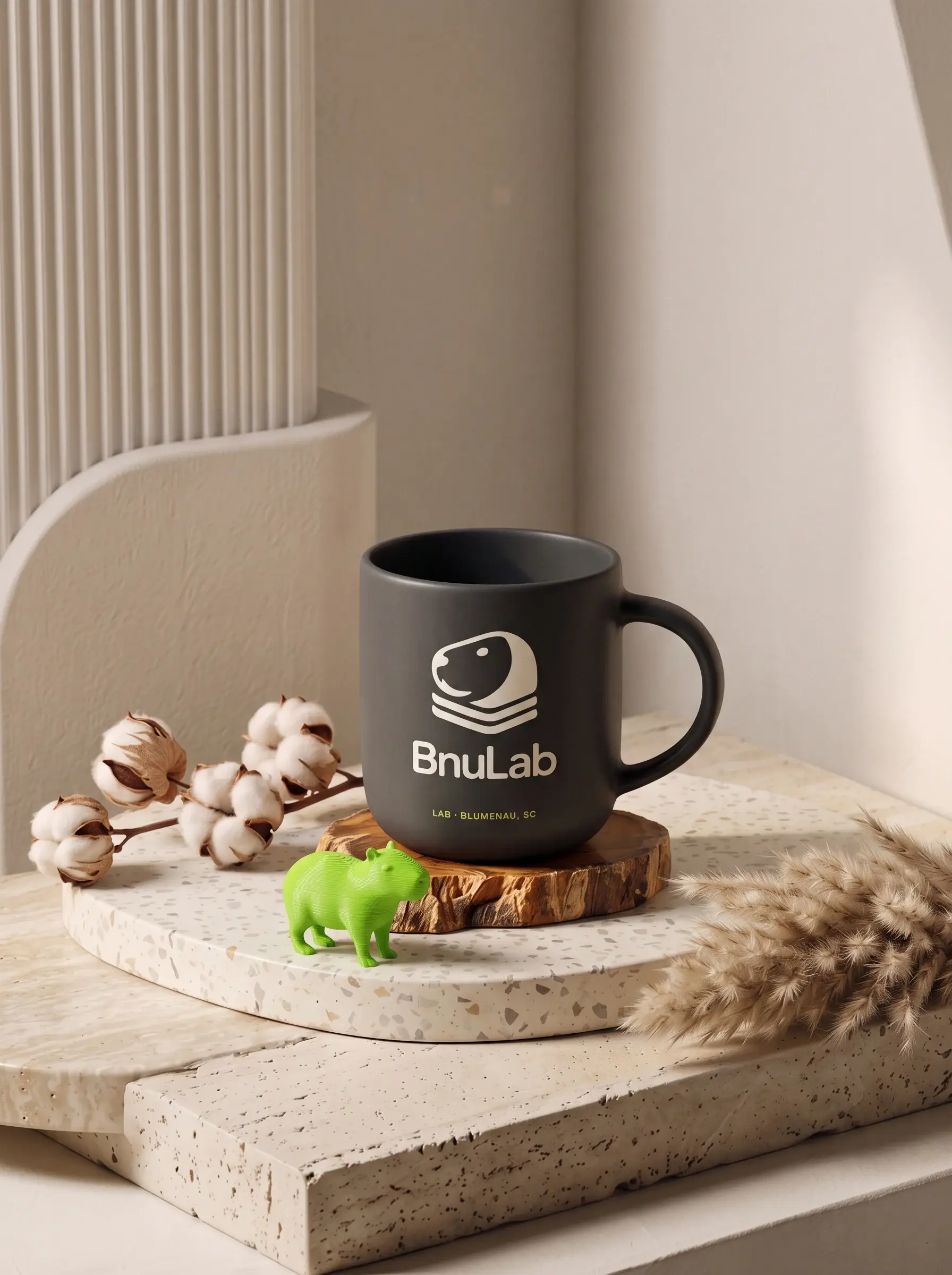 BnuLab, imagem 11 de 14